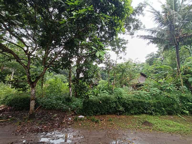 dijual tanah murah purworejo