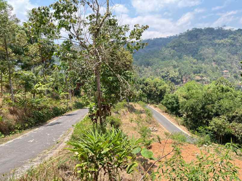 dijual tanah ngargoyoso karanganyar