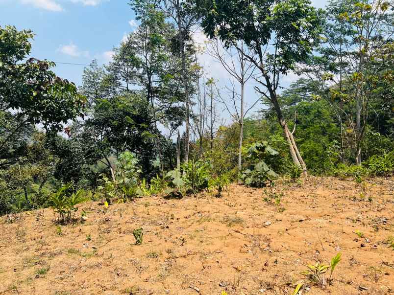 dijual tanah ngargoyoso karanganyar