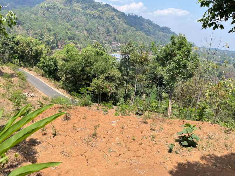 dijual tanah ngargoyoso karanganyar