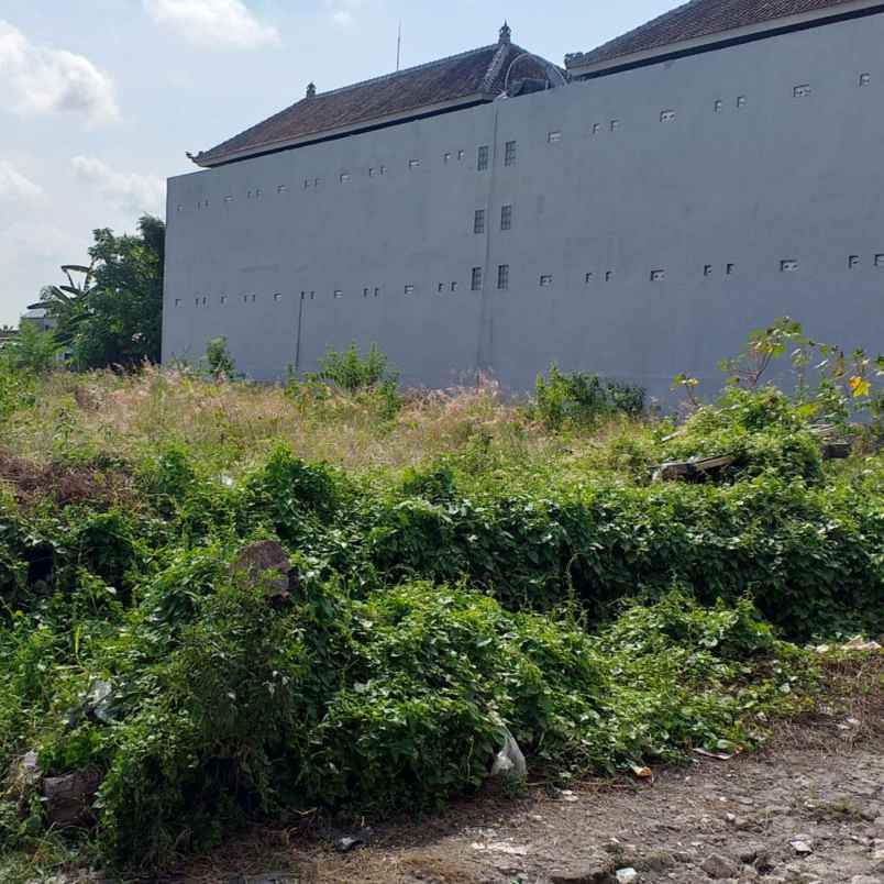 dijual tanah pemecutan klod