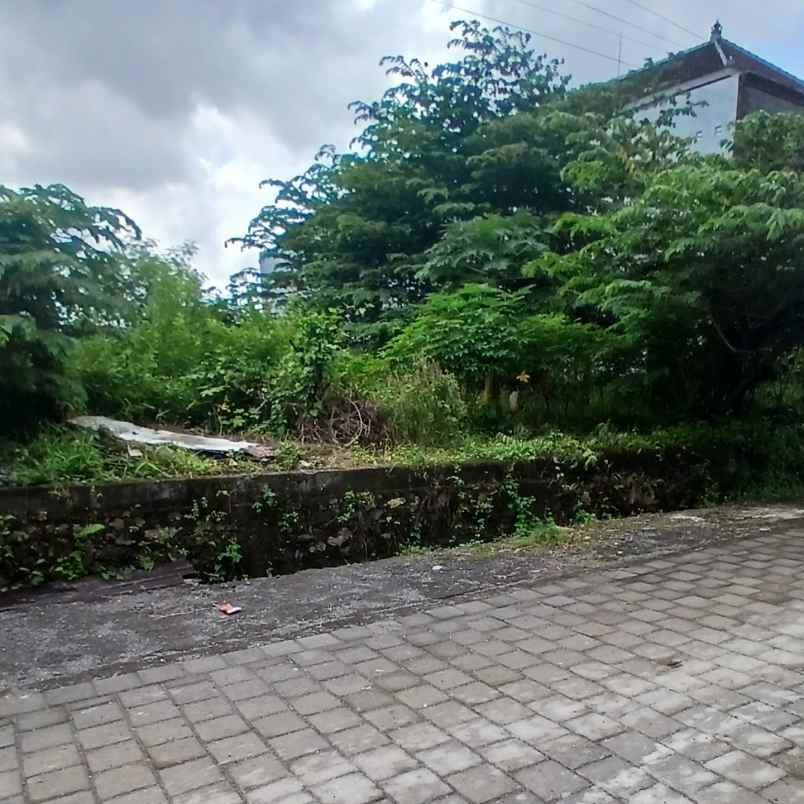 dijual tanah pemecutan klod