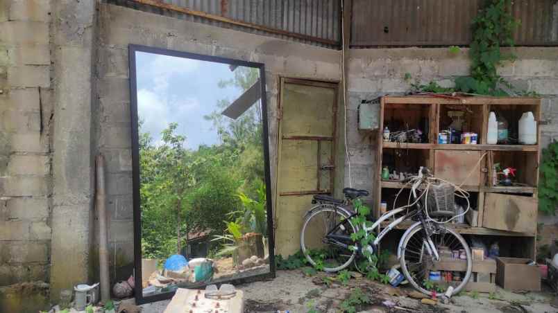 dijual tanah pertanian luas tepi jalan utama di bantul