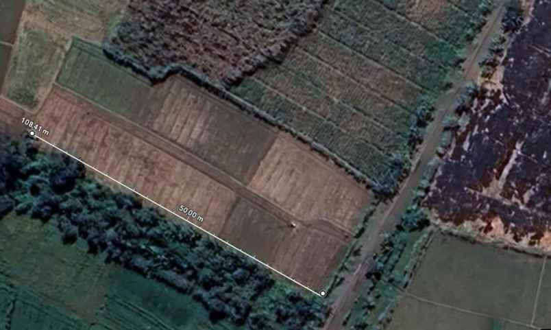 dijual tanah pirin kedungpring lamongan jawa timur