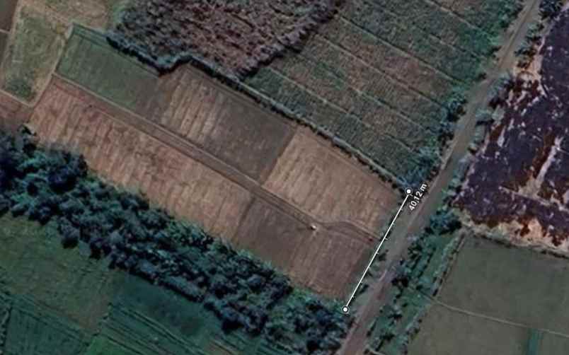 dijual tanah pirin kedungpring lamongan jawa timur