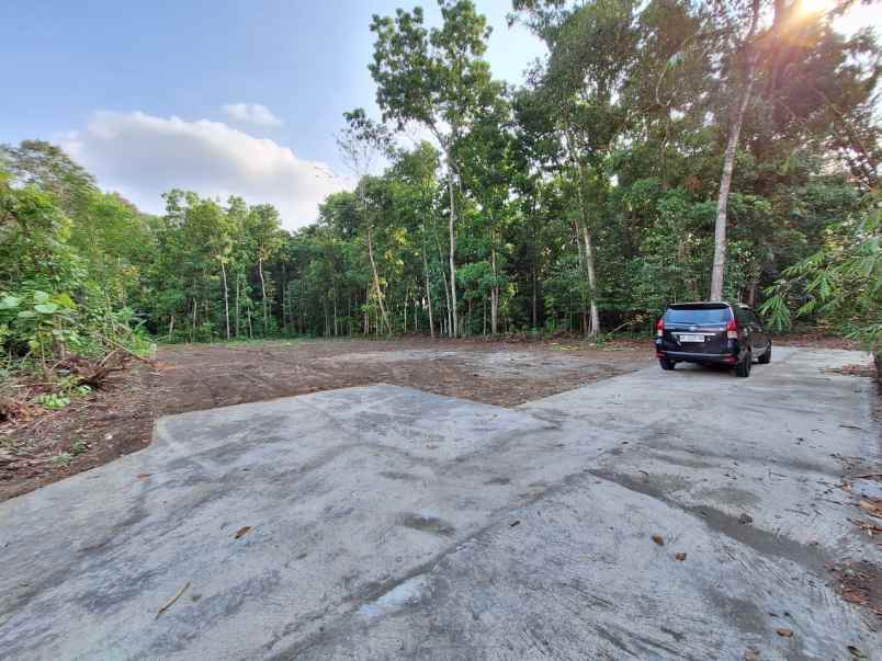 dijual tanah pondok wonolelo