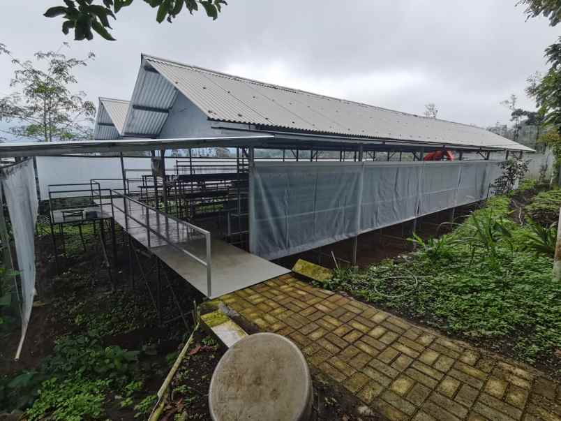 dijual tanah pujon malang