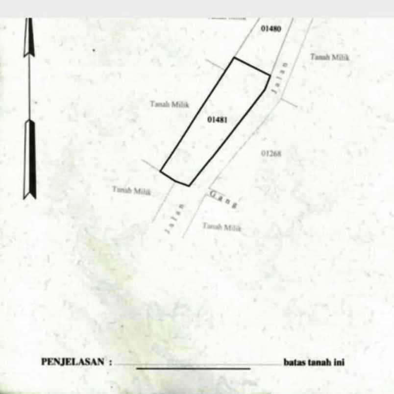 dijual tanah raya tanah lot