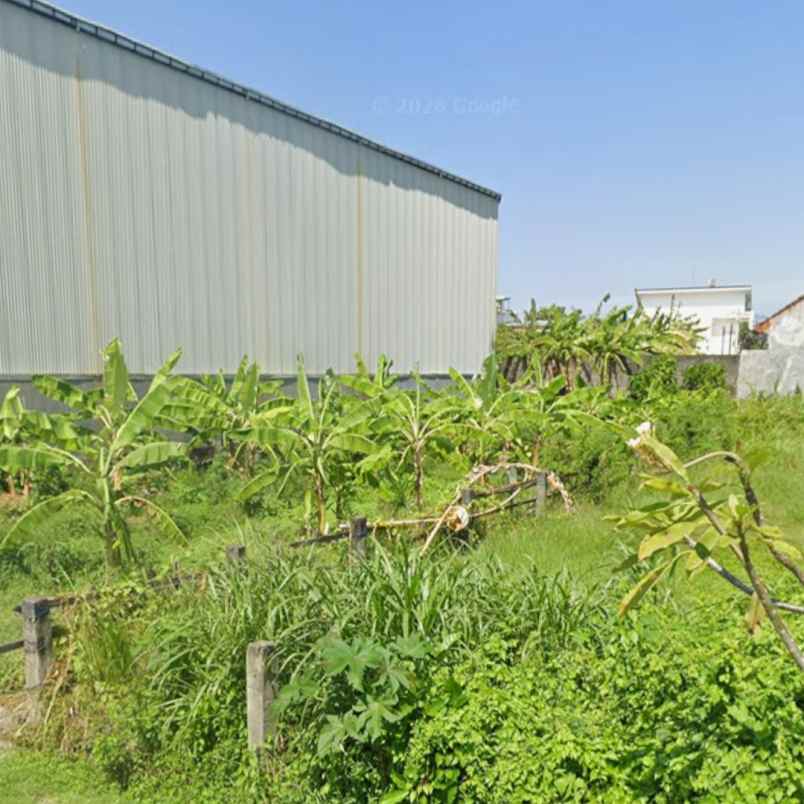 dijual tanah renon