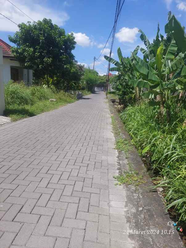 dijual tanah sanggrahan condongcatur