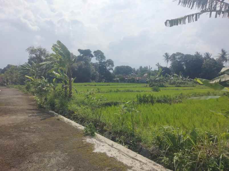 dijual tanah sawah view gunung akses jl mobil