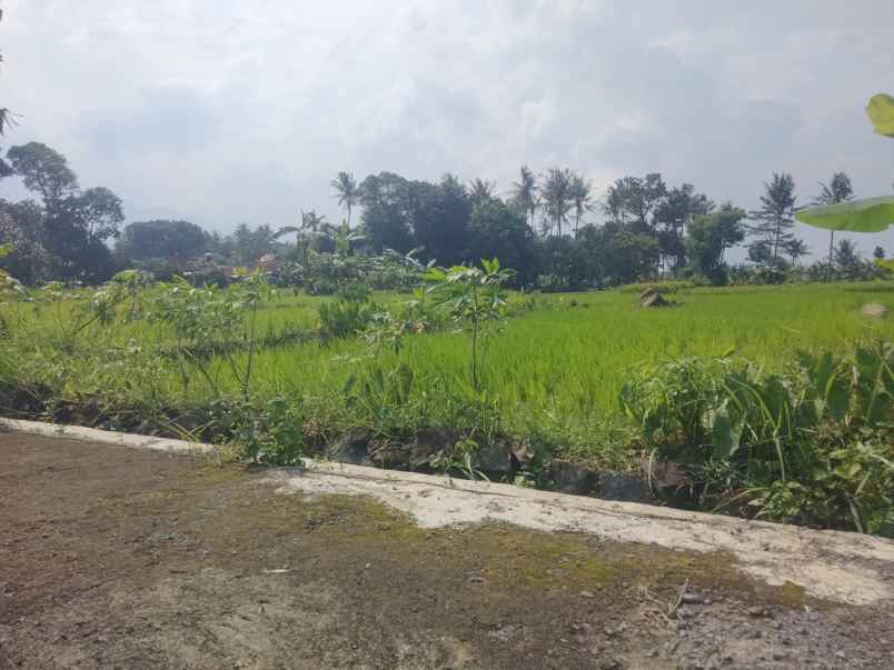 dijual tanah sawah view gunung akses jl mobil