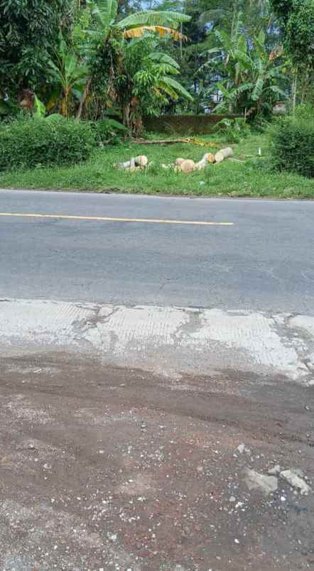 dijual tanah secang magelang