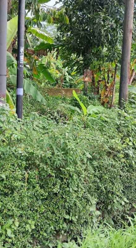 dijual tanah secang magelang