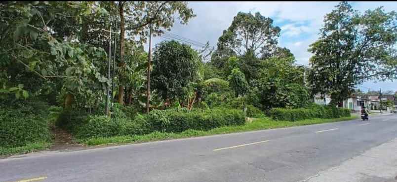 dijual tanah secang magelang