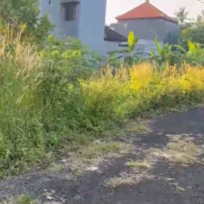 dijual tanah sedap malam