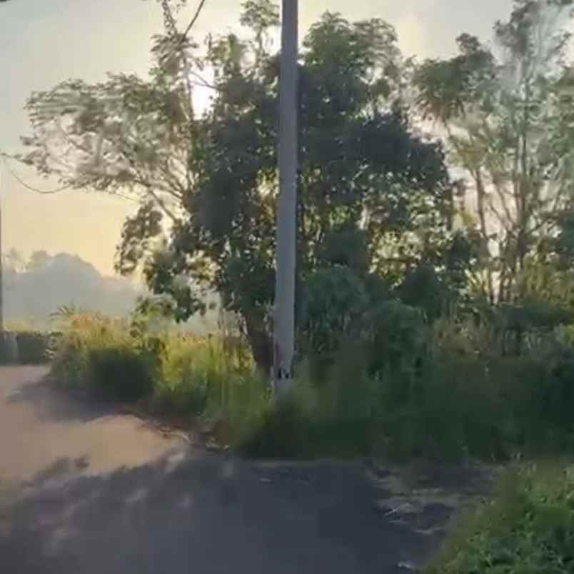 dijual tanah sedap malam