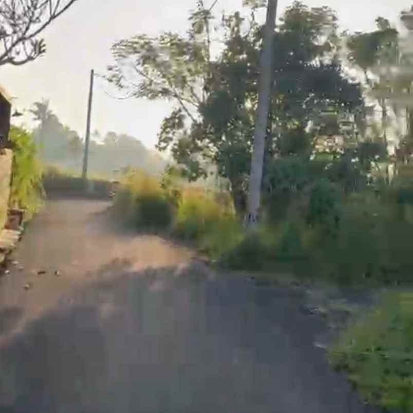 dijual tanah sedap malam