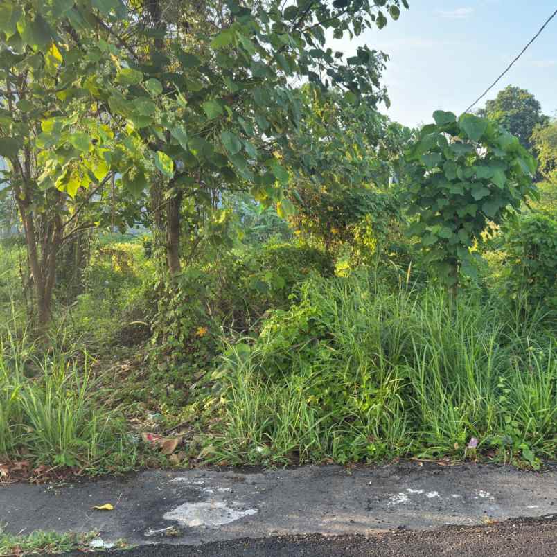 dijual tanah sedap malam