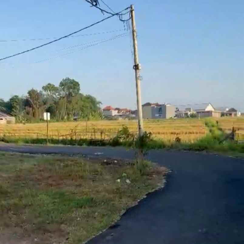 dijual tanah sedap malam