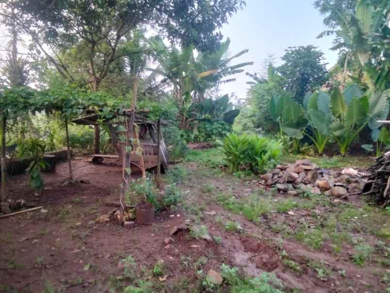 dijual tanah sidosari