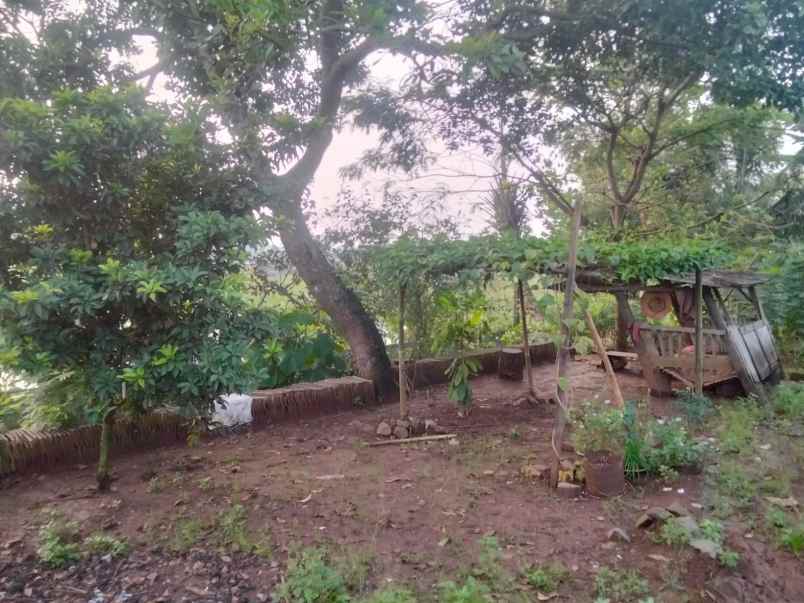 dijual tanah sidosari