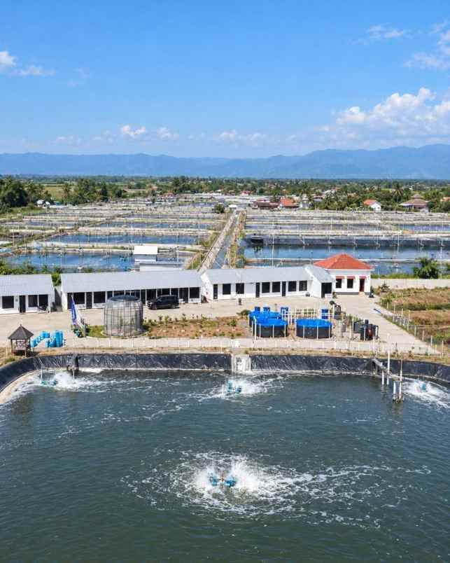 dijual tanah situbondo