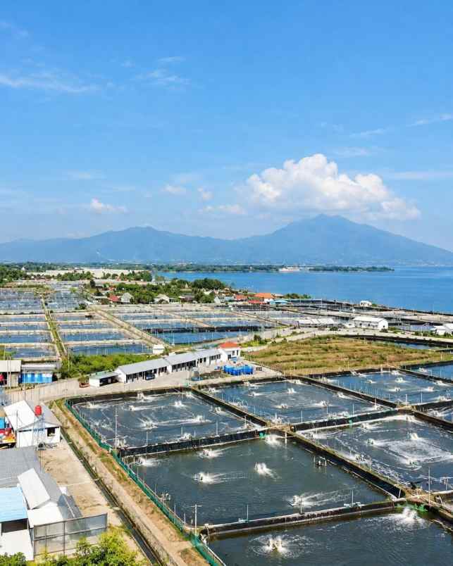 dijual tanah situbondo