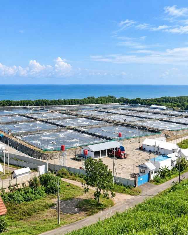 dijual tanah situbondo