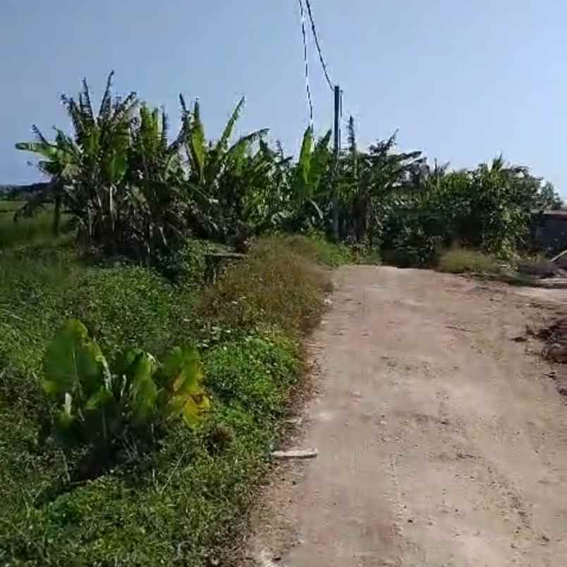 dijual tanah tibubiu