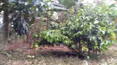 dijual tanah wanayasa