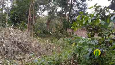 dijual tanah wanayasa