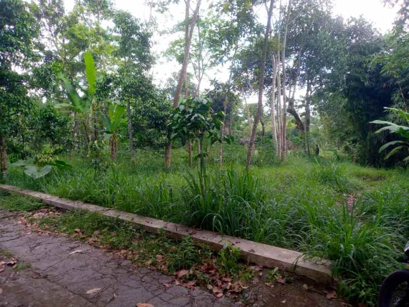 dijual tegalan sidorejo kemalang