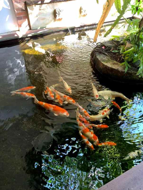 dijual villa pejaten barat