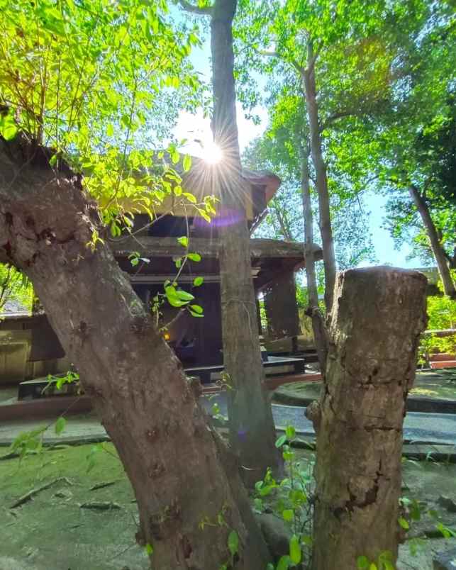 dijusk vikka lokasi lombok nusa tenggara barat