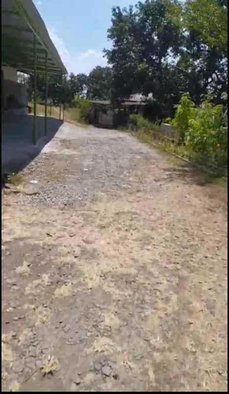 disewakan gudang di purwosari pasuruan