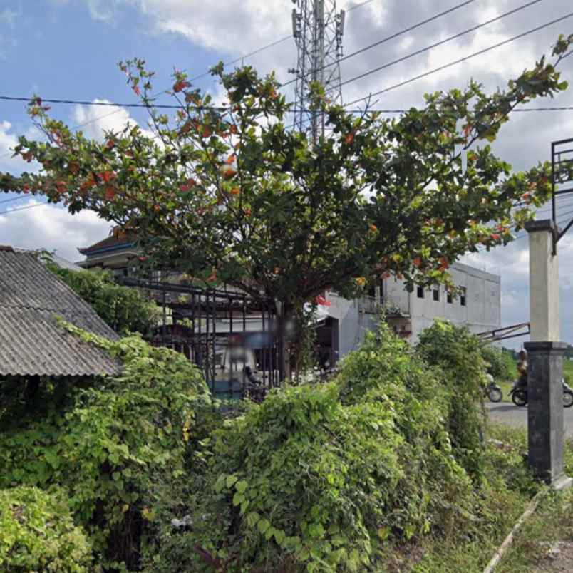 disewakan tanah bringkit