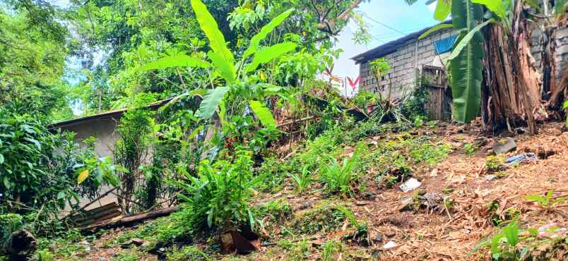 disewakan tanah jalan sekar sari denpasar bali