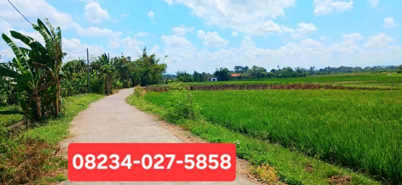 disewakan tanah tibu biu tabanan bali