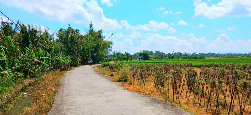 disewakan tanah tibu biu tabanan bali