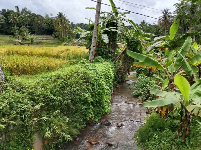 for sale tanah sawah dekat sungai jalan cagak subang