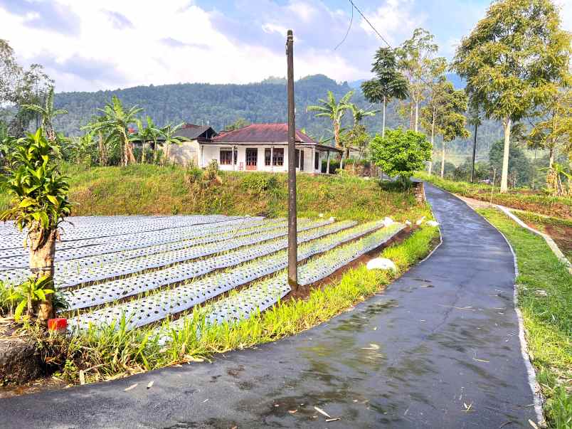 harga terjangkau tanah 135jt kemuning karanganyar