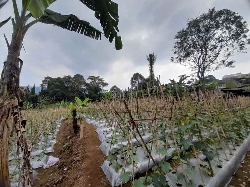 jual cepat tanah dekat kawasan wisata di ciater subang