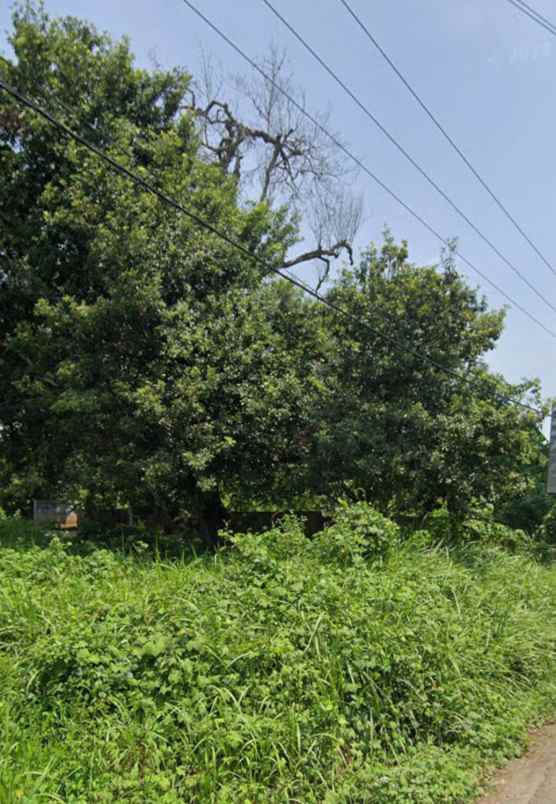 jual cepat tanah di tembong