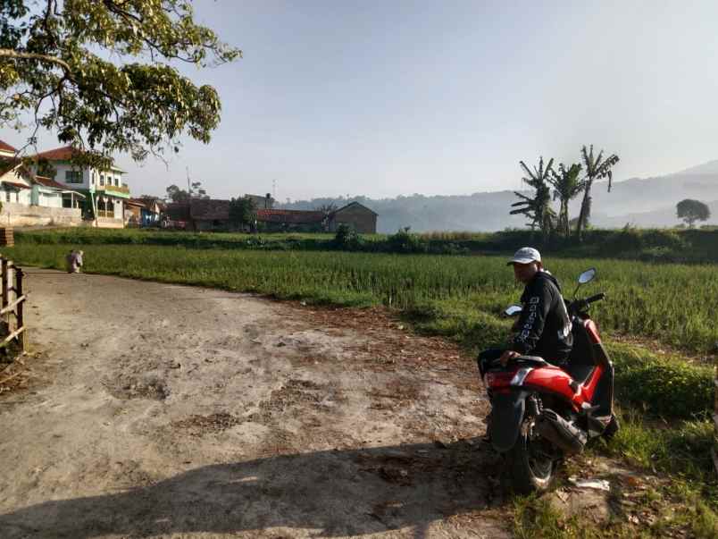 jual cepat tanah sawah cimanggung sumedang