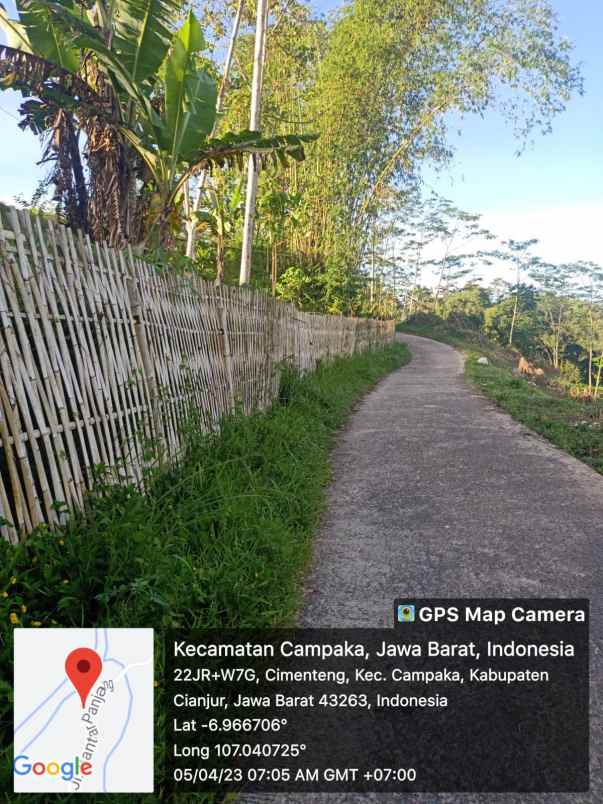jual murah tanah perkebunan di campaka cianjur