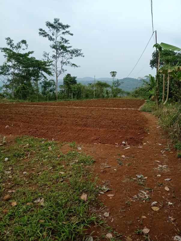 jual murah tanah perkebunan di campaka cianjur
