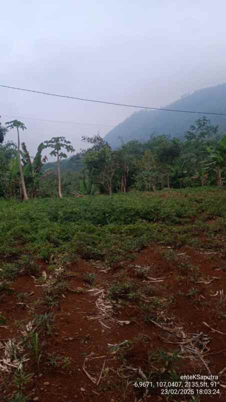 jual murah tanah perkebunan di campaka cianjur