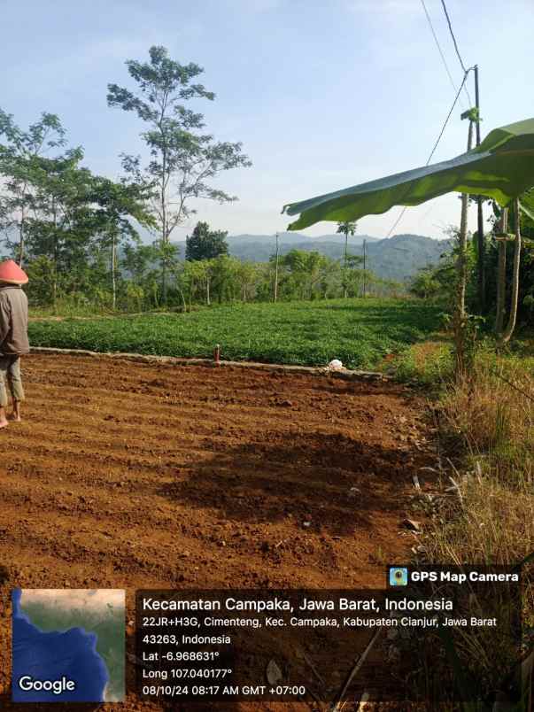 jual murah tanah perkebunan di campaka cianjur