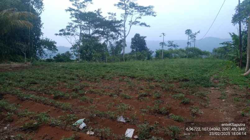 jual murah tanah perkebunan di campaka cianjur